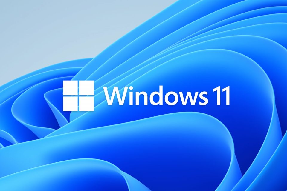 Windows-11-Hero-Bloom-Logo-960x640